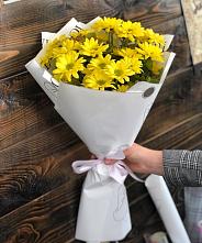 Букет цветов из:  Хризантемы #REPLACE_PRED# Новое Грешино