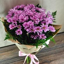 Букет цветов из:  Хризантемы #REPLACE_PRED# Новое Грешино