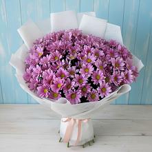 Букет цветов из:  Хризантемы в Новое Грешино
