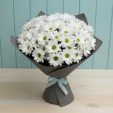 Букет цветов из:  Хризантемы в Новое Грешино