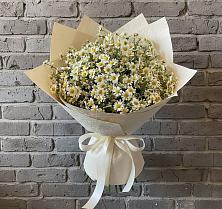 Букет цветов из:  Ромашки #REPLACE_PRED# Новое Грешино