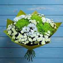 Букет цветов из:  Хризантемы #REPLACE_PRED# Новое Грешино