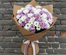 Букет цветов из:  Хризантемы в Новое Грешино