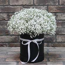 Цветочная композиция из Гипсофила в шляпной коробке в Новое Грешино