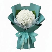 Букет цветов из:  Гортензия в Новое Грешино